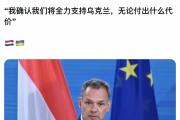 华体会官网-荷兰主场击败乌克兰，晋级关键