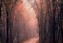 华体会皇马赞助商-东契奇关键制胜，灰熊加时取胜马刺，一场定义赛季韧性的鏖战