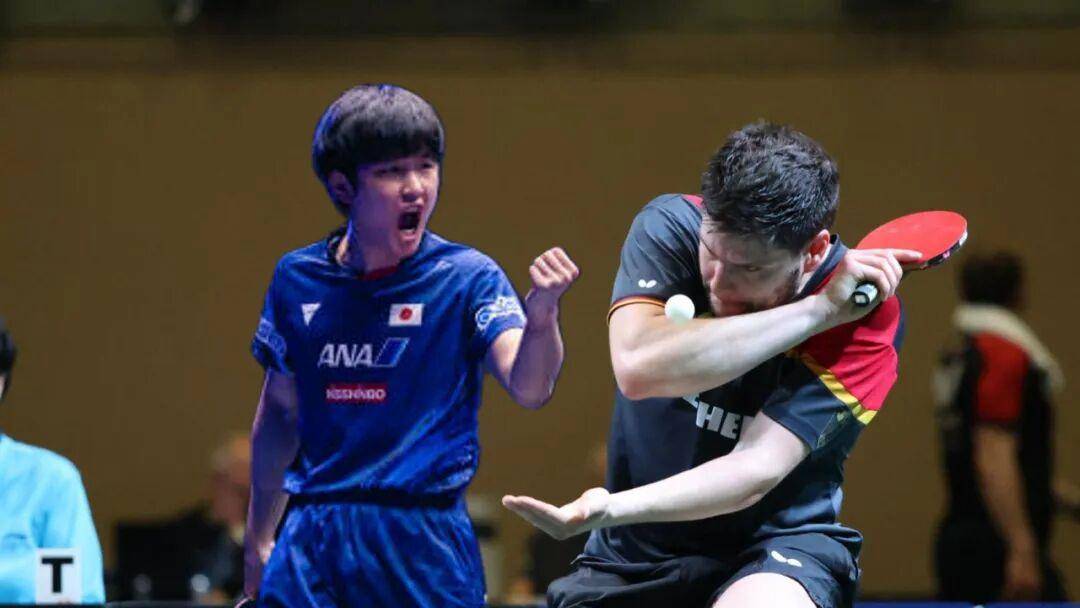 比利时乒乓球队翻盘德国乒乓球队，奥恰洛夫制霸全场的简单介绍